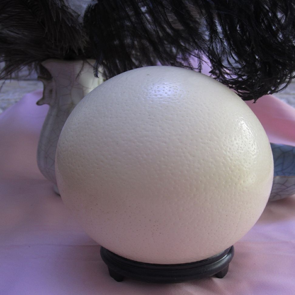 极速鸵鸟蛋壳蛋托鸸鹋驼鸟蛋雕工艺品水晶球托架T托盘支架球形底