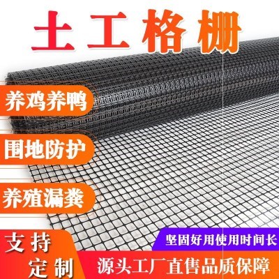 速发新品格栅户外双d向塑料圈工围栏山防护网隔离养鸡平网土网品