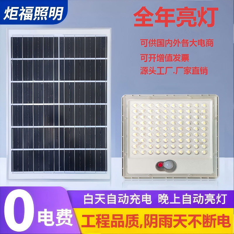 2024太阳能灯人体感应投光灯户外庭院灯院子照明灯路灯智能感应
