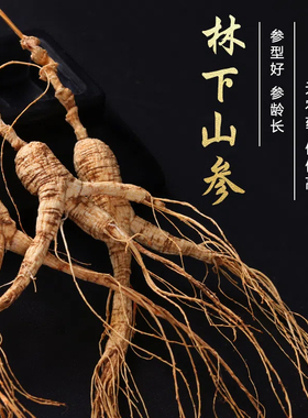 东北老山参整支林下参东北特产老山参足干参泡酒煲汤材料自然微残