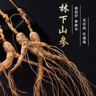 东北老山参整支林下参东北特产老山参足干参泡酒煲汤材料自然微残
