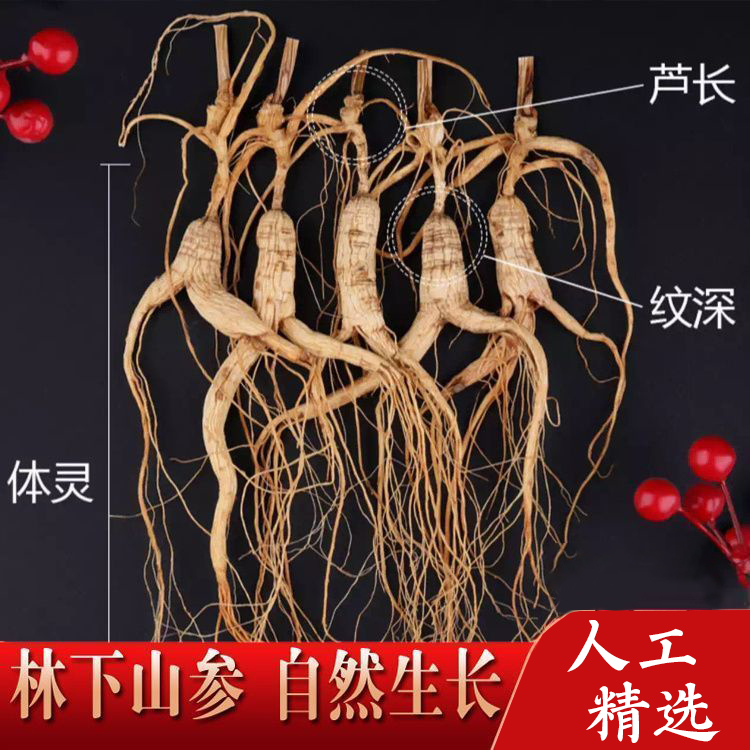 长白山人参约30年林下参