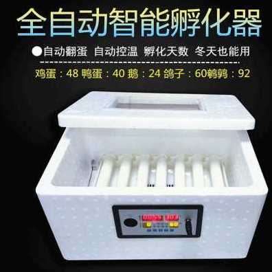 现货速发新品新品水床孵化机家用型鸡鸭鹅孵化器46枚小型0Q枚卵蛋