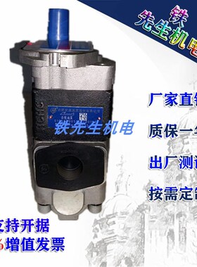 速发HCHC/源HYA/HYD/HT-G2/F4.5-AYL长ATH G6/F.5齿轮油泵