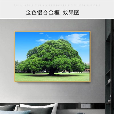 速发大榕树挂画一棵绿色树招财背景贴画大树自粘背胶装饰画有框画