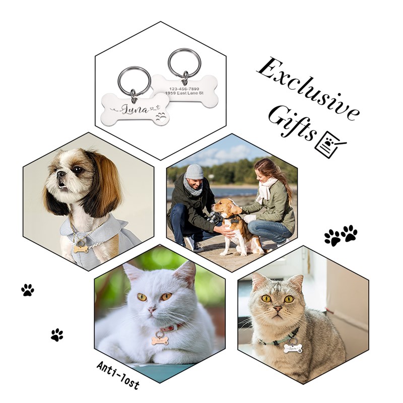 速发Persoized Pet  Dog Tags Shi Steel Free Egravig e