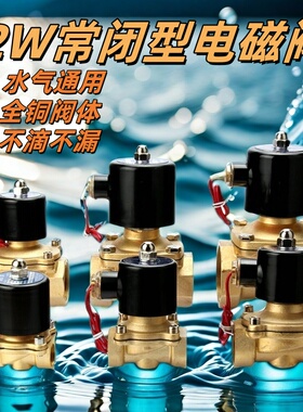2w常闭型电磁阀密封片全铜线圈水阀控制开关气22024v12v4分6分1寸