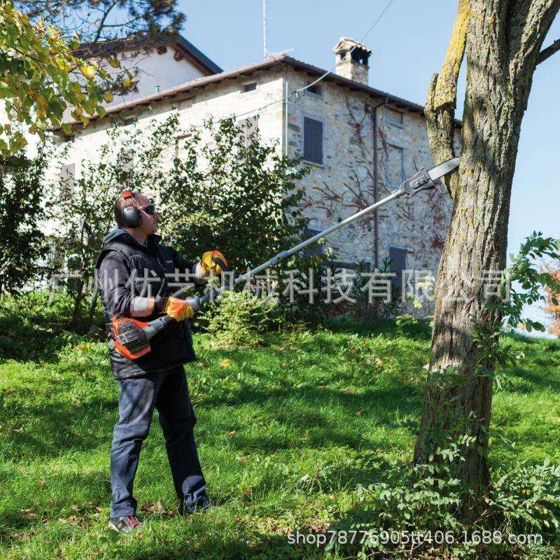 意大利欧玛原装进口高枝油锯果子修剪园林绿化汽油高枝锯高杆锯