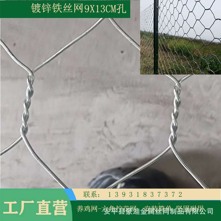 安平豪迪铁丝编织六角网 羊圈铁丝网 10cm网孔 拦羊围网 畜牧养殖