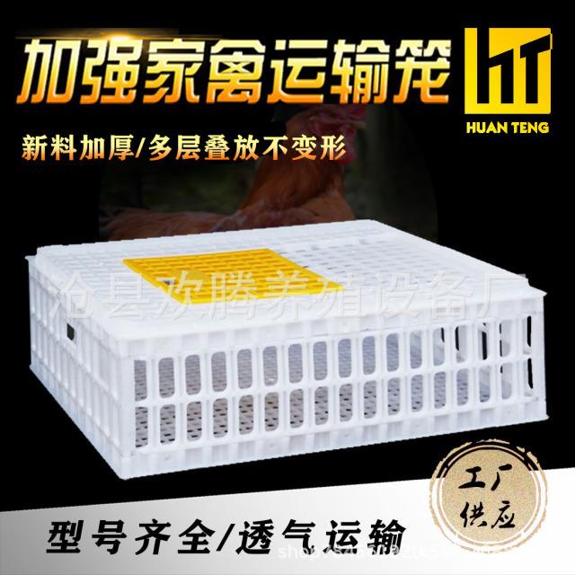 直发鸡用运输笼鸡用周转箱鸡鸭鹅鸽兔周转框鸡框鸡用周转框