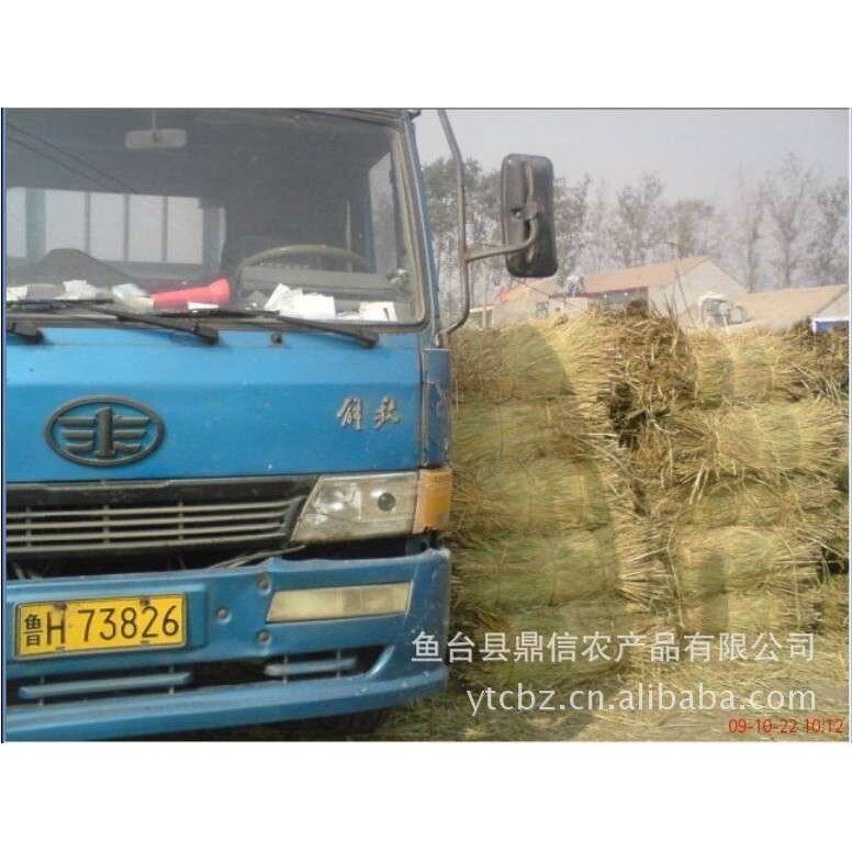 【干稻草】鼎信大量出售干稻草5吨起 专车送货编织干稻草帘