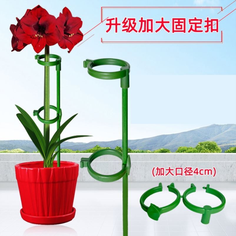 速发花架子蝴蝶兰支架绣球支撑杆金钱树龟背竹月季爬藤植物固定防