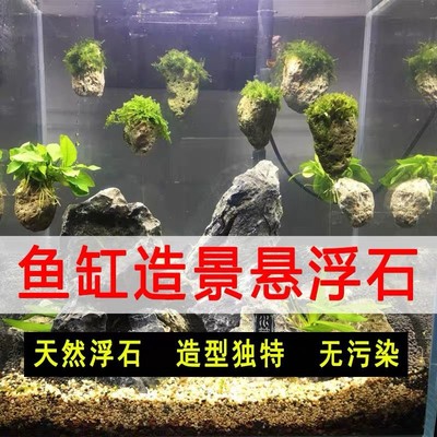 现货速发莫斯浮石鱼缸造景浮石阿凡达景观悬浮石头水族箱假山水草