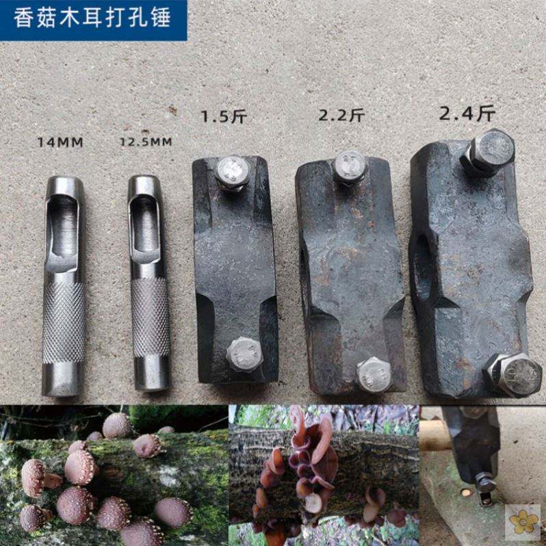 现货速发椴木种植香菇树打孔锤打孔器香菇锤镶钻头菌木耳点种接种
