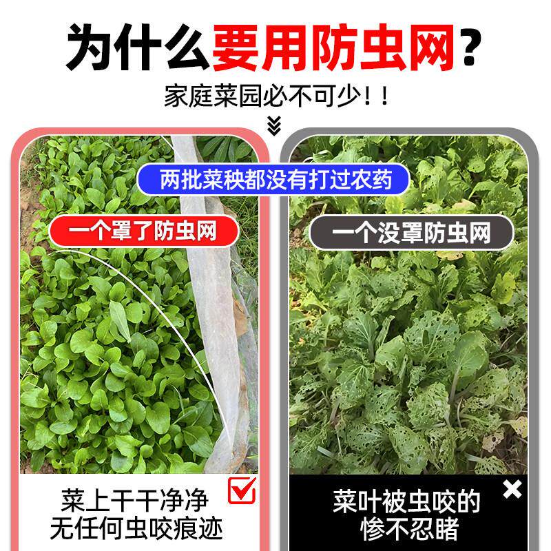 现货防虫网种菜专i用加厚大棚养殖围栏网蔬菜菜园果树60菜地80目1