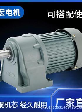 小型减速电机单相/三相立式/卧式100W18轴/22轴/28轴减速马达