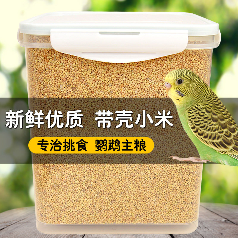 中小型鹦鹉带壳饲料新黄谷子图片