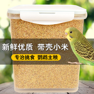 鹦鹉黄谷子带壳小米虎皮玄凤牡丹专用鸟饲料营养鸟粮食新黄谷子