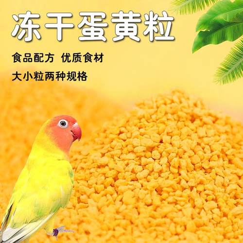鹦鹉小零食训练奖励冻干蛋黄粒