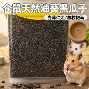 金丝熊黑瓜子油葵黑瓜子仓鼠休闲日常投喂用仓鼠花枝鼠零嘴用品