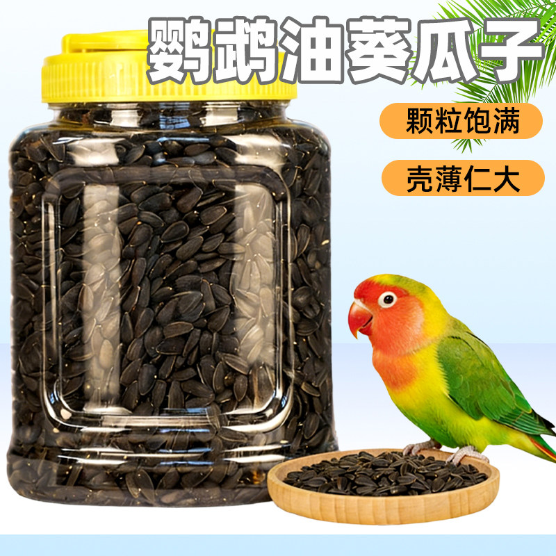 鹦鹉专用油葵黑珍珠小瓜子