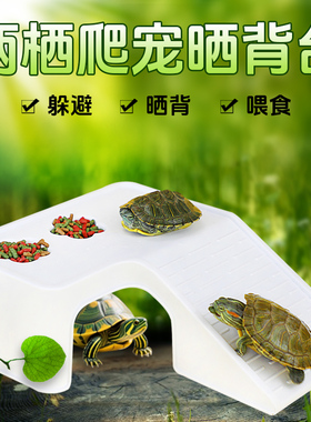 乌龟晒台爬台龟箱爬梯乌龟浮台龟缸造景带沙盘晒背台大型爬坡躲避
