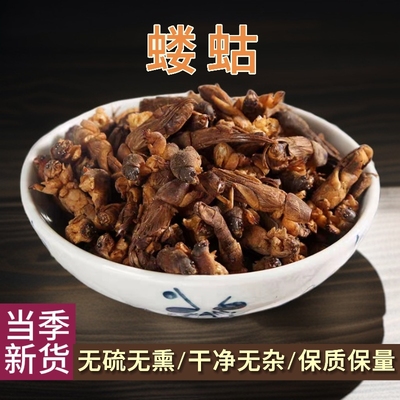 惠民堂中药材蝼蛄干地狗子土狗店有蝗虫蟋蟀五谷虫