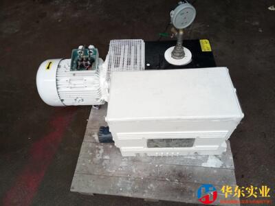 SV200莱宝真空泵 旋片式 工业用 三相4KW 每秒55升