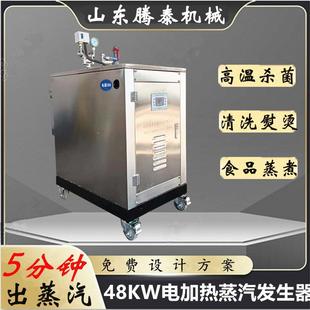 小型电加热锅炉 全自动电加热蒸汽发生器豆腐坊煮豆浆用工业立式