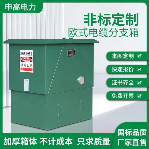 10kv电缆分支箱FW12/60A转接箱户外欧式分接箱一进一二三四五出