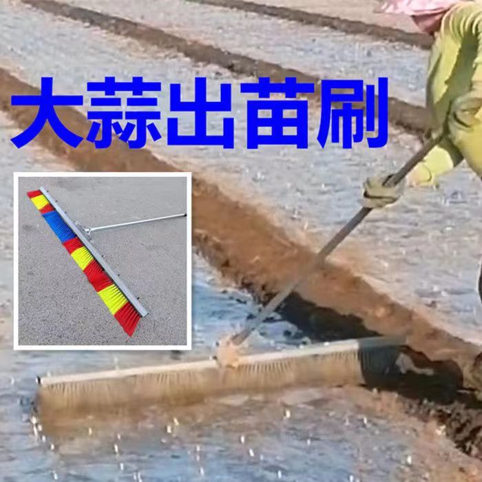 省力出芽蒜苗地膜农用刷刷子出苗出土人力破膜器破大蒜手推芽刷