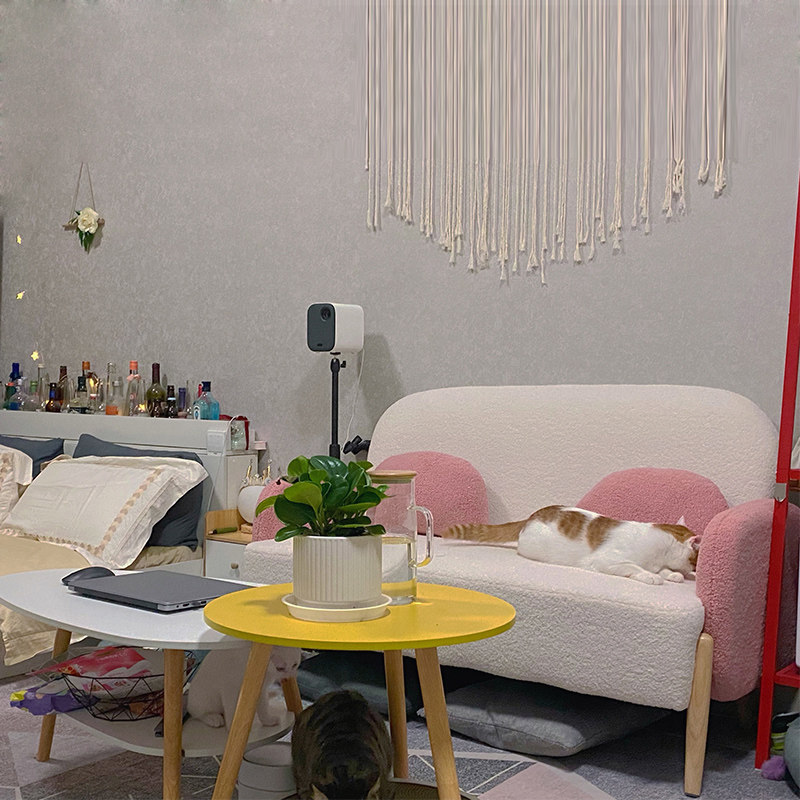 速发布经沙发双人款房卧室小户型艺沙型服装店简易济发