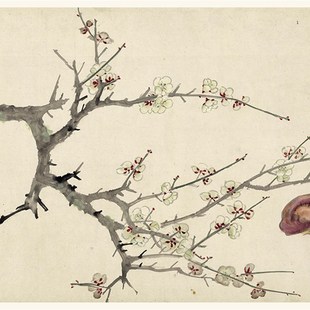 1:1 明c 周之冕《百卉图卷》国画花卉长卷 水墨画高清复制临摹画