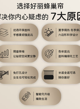 好丽日夜蜂e巢帘打孔百叶窗卧室客厅书房电动帘隔热遮阳蜂窝风琴