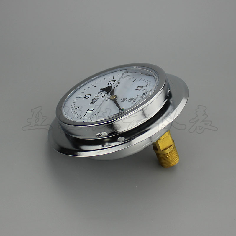 压力表轴向带边耐震 YN-100ZT 防震带油压表 L水压气压表 25/40Mp