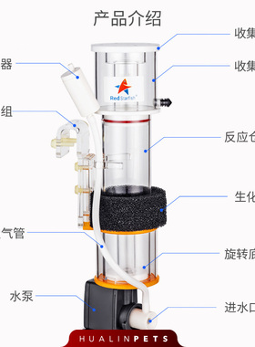 红海星SQ50 70l 90 进口泵K6/10蛋分海水鱼缸内置过滤器蛋白质分