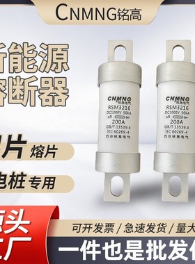 直流熔断器RM3216(RS309)充电桩专用DC750L-1000V新能源汽车熔断