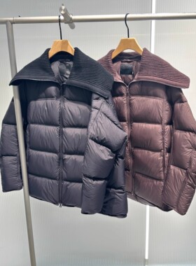 艾诺丝国内代购2025秋冬保暖御寒针织大翻领羽绒服女外套AR004005