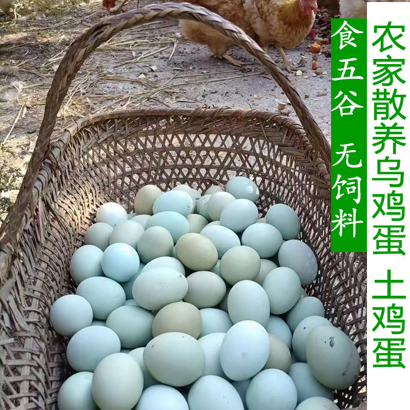 土鸡蛋乌鸡蛋30枚正宗新鲜