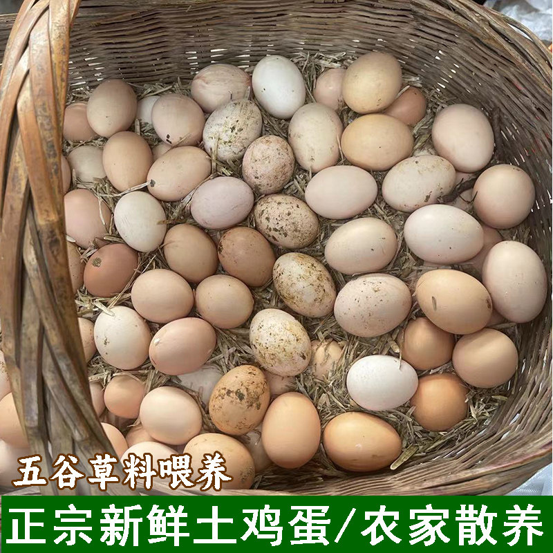 正宗土鸡蛋农村自养老母鸡鸡蛋