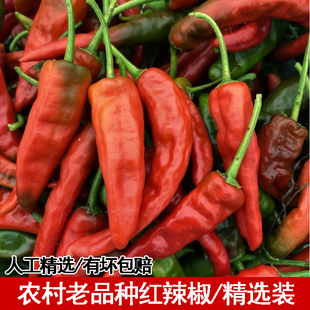 农村自种土辣椒红辣椒新鲜现摘老品种红尖椒可做稀辣酱剁椒酱泡菜