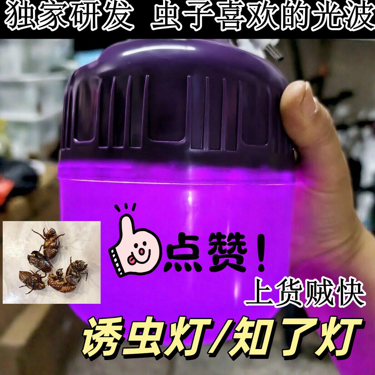 知了诱捕专用灯抓知了神器吸虫灯