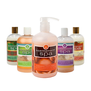 Best Shot美国原装进口宠物沐浴露护毛素猫狗用香味好闻SPA系列