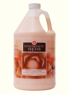 BestShot宠物护理素 美国原装柑橘味幼宠配方 大桶3.8升 非香波