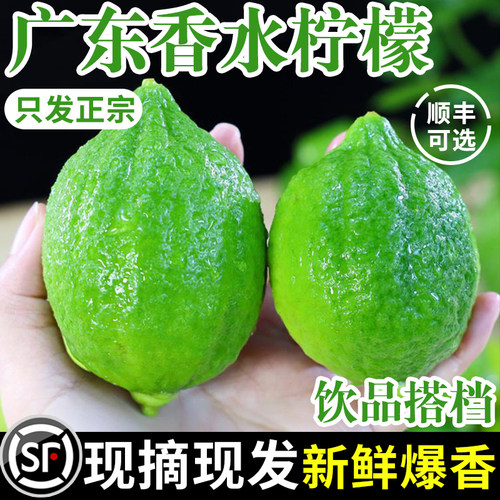 顺丰上门！真-广东香水柠檬10斤