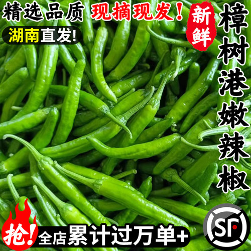 顺丰次日达！樟树港辣椒！