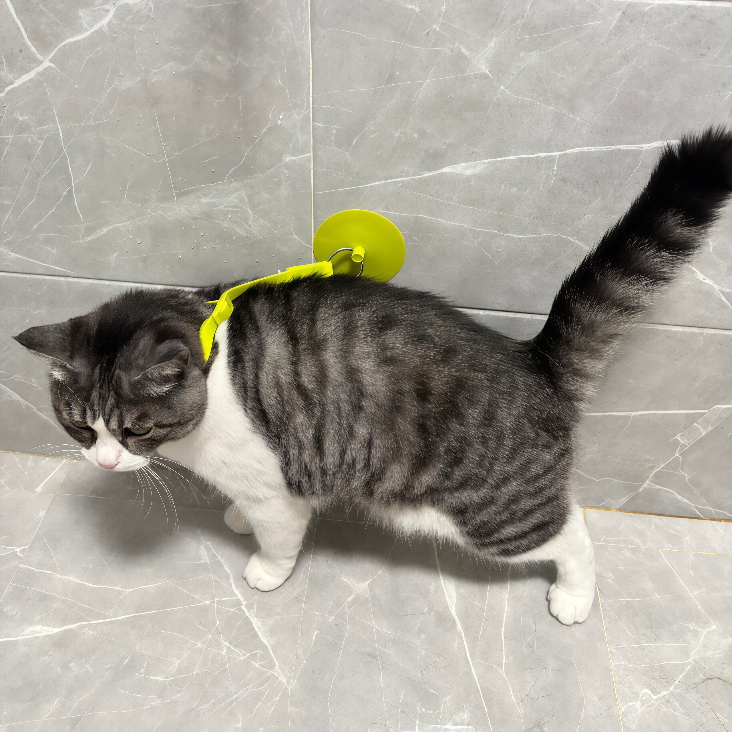 猫咪洗澡固定器狗狗剪指甲剃毛专用防抓咬防挣脱神器宠物洗澡神器