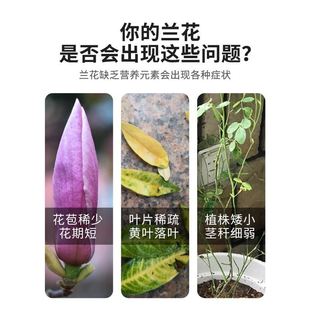 现货速发粗椰壳砖兰花专用营养土蝴蝶兰植料多肉土花卉君子兰椰糠