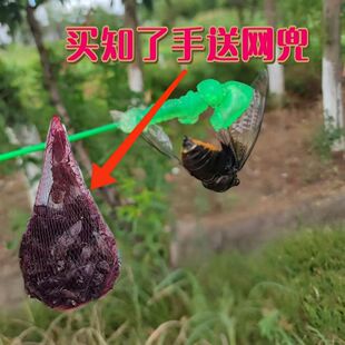 粘知了神器抓知了猴小绿手抓蝉捕蝉工具胶状黏黏球抓知了神器批发