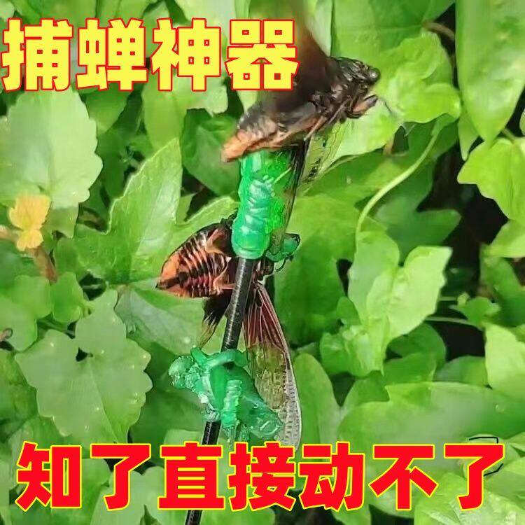 知了捕捉器神器小手捕蝉儿童工具
